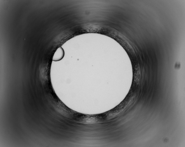 X0000103410604200810241210