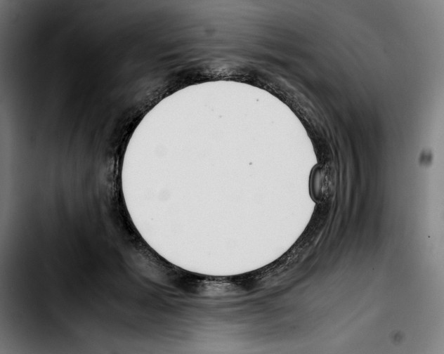 X0000103410605200810241210