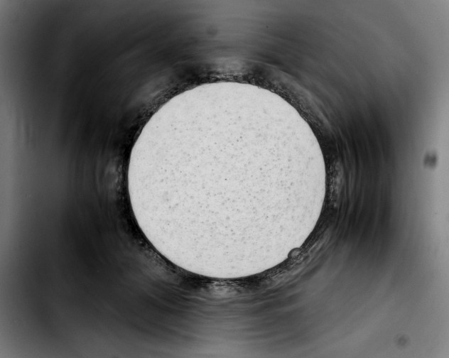 X0000103410608200810241210