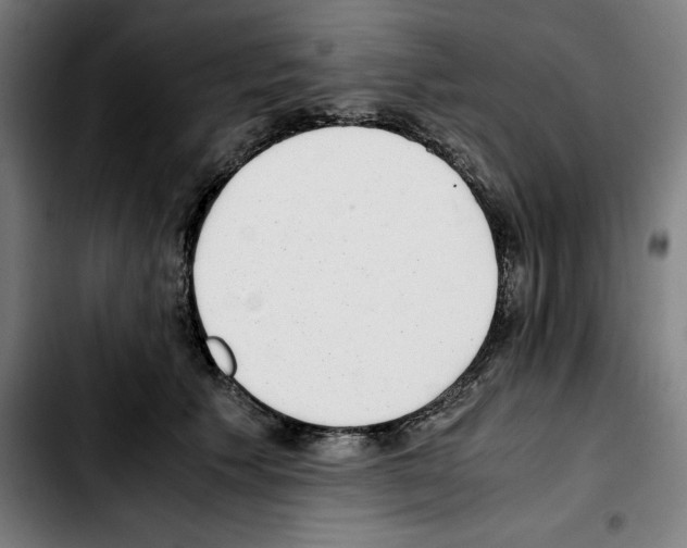 X0000103410609200810241210