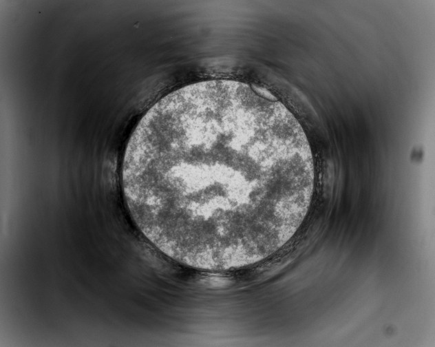 X0000103410610200810241210