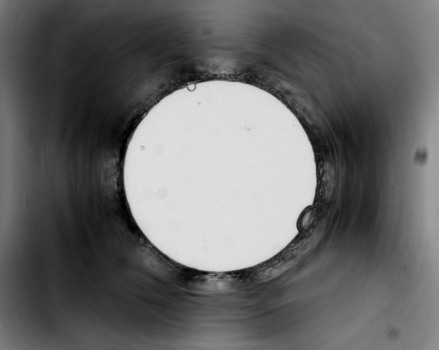 X0000103410612200810241210