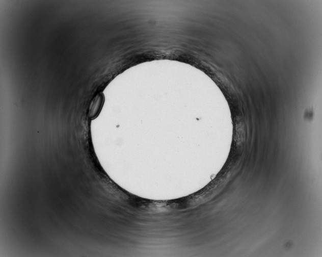 X0000103410613200810241210