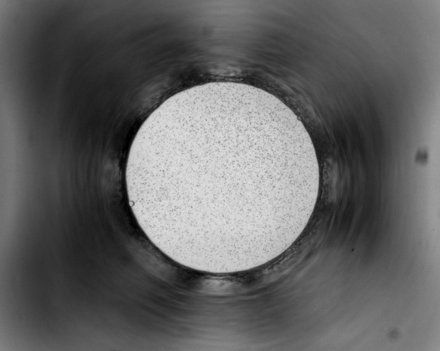 X0000103410614200810241210