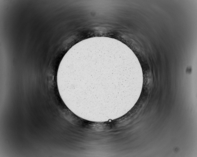 X0000103410615200810241210