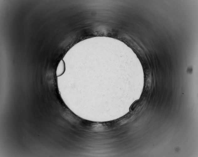 X0000103410616200810241210