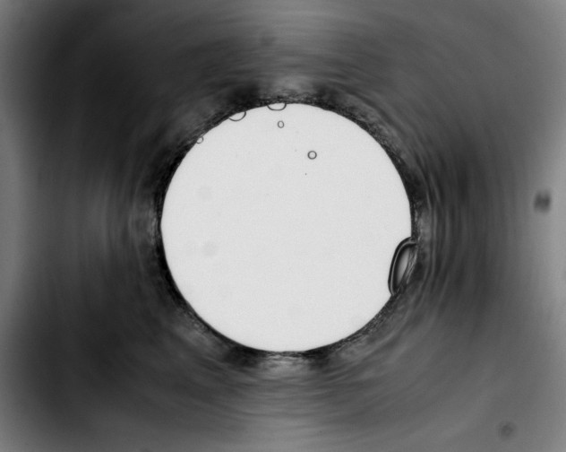 X0000103410617200810241210