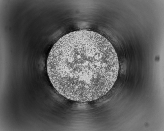 X0000103410618200810241210