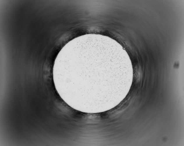 X0000103410619200810241210