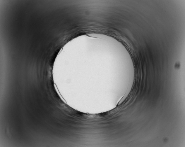 X0000103410621200810241210