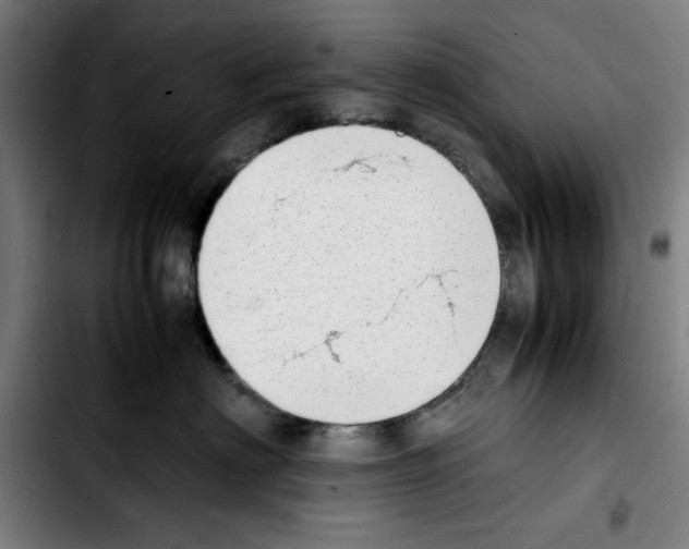 X0000103410622200810241210