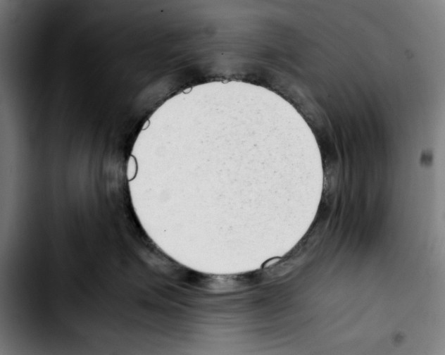 X0000103410623200810241210