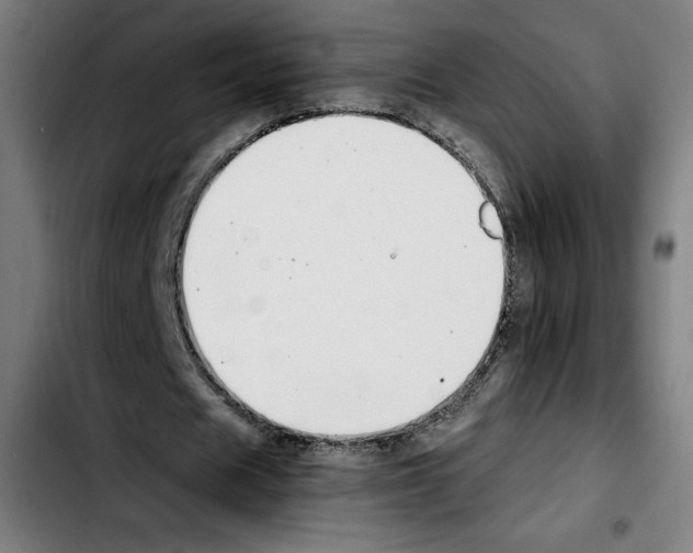 X0000103410625200810241209