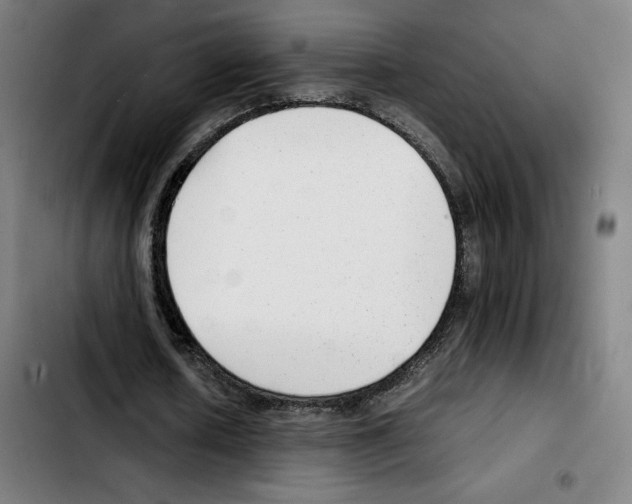 X0000103410626200810241209