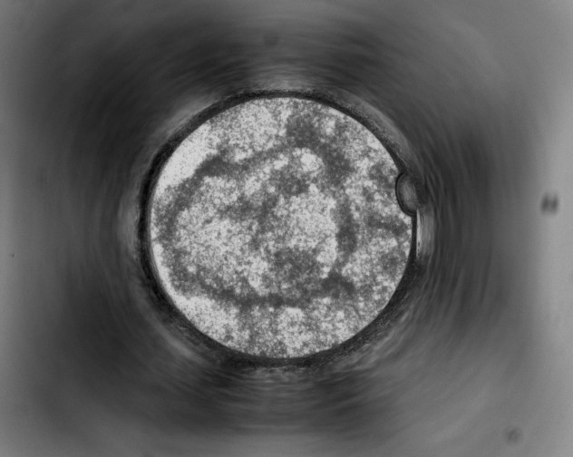 X0000103410627200810241209