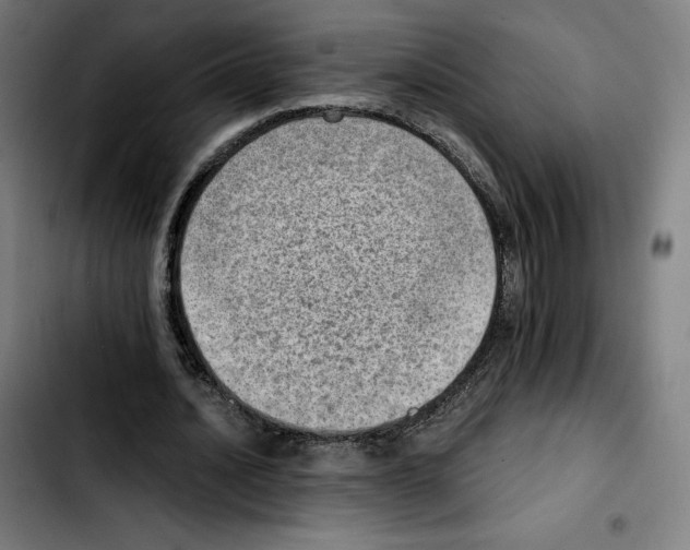 X0000103410628200810241209