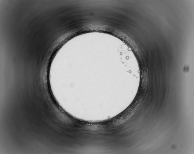 X0000103410629200810241209