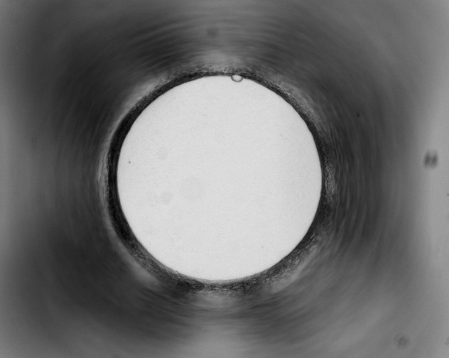 X0000103410630200810241209