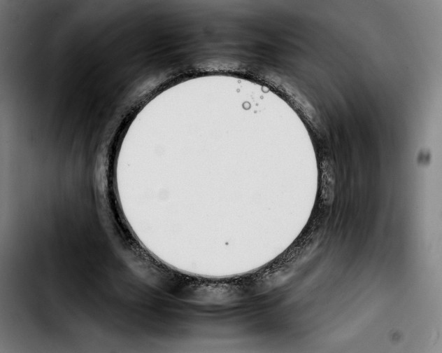 X0000103410631200810241209