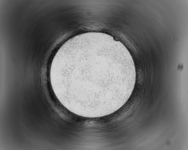 X0000103410634200810241209