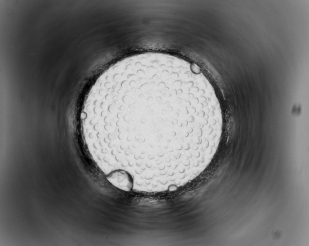 X0000103410635200810241209