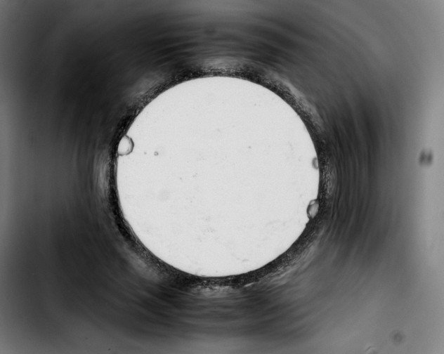 X0000103410637200810241209