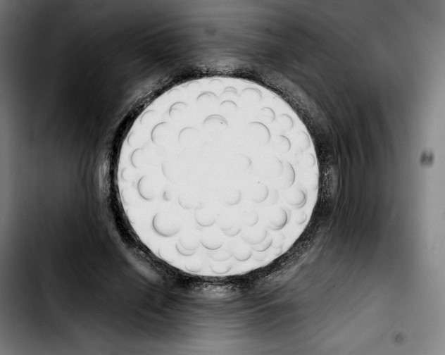 X0000103410638200810241209