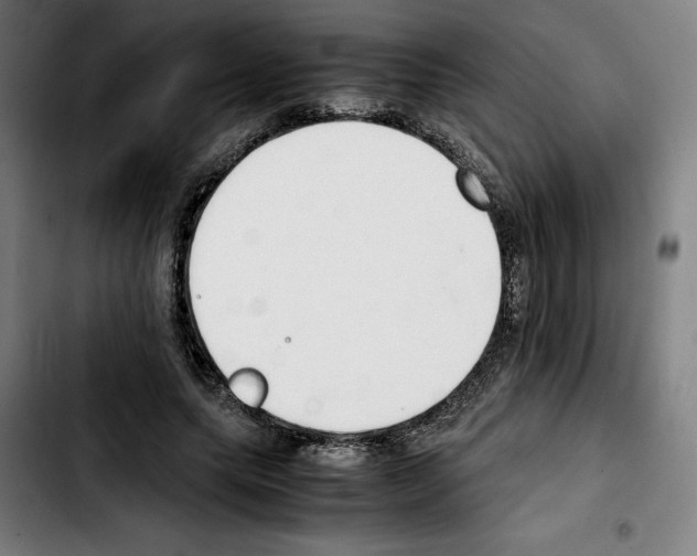 X0000103410639200810241209