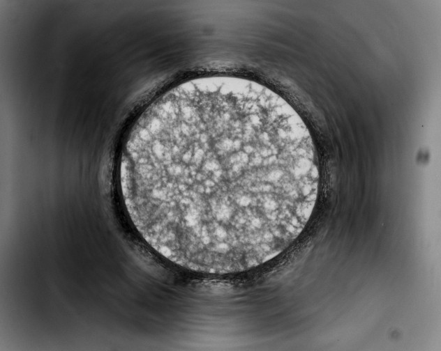 X0000103410640200810241209