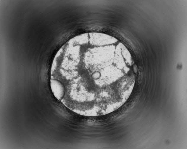 X0000103410641200810241209