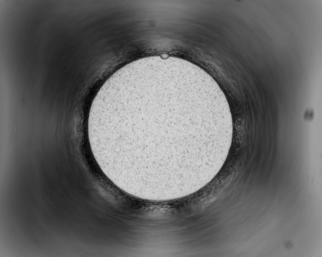 X0000103410642200810241209