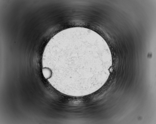 X0000103410643200810241209