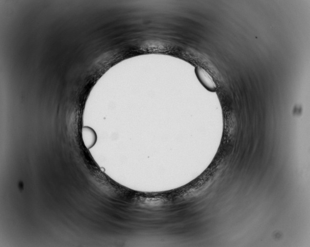 X0000103410645200810241209