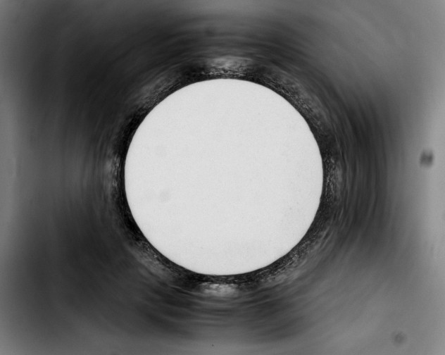 X0000103410649200810241210