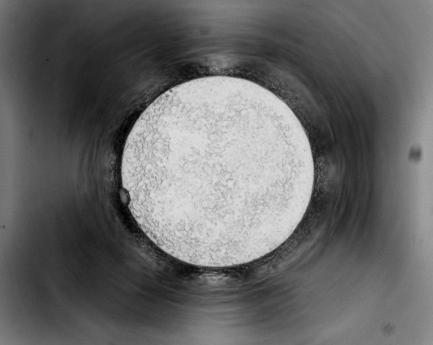 X0000103410650200810241210