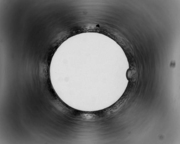 X0000103410654200810241210