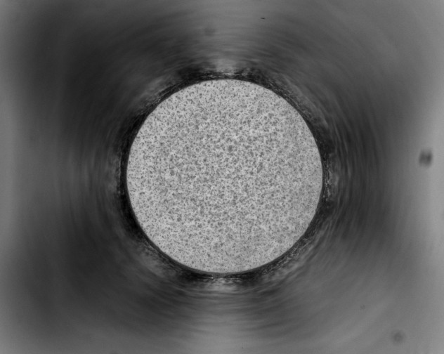 X0000103410656200810241210