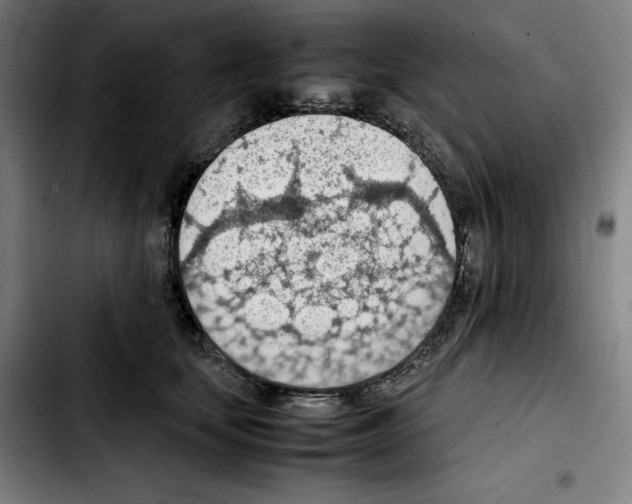 X0000103410659200810241210