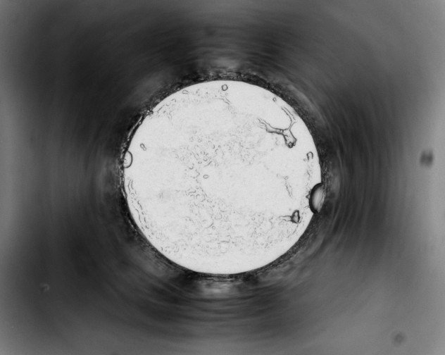 X0000103410661200810241210