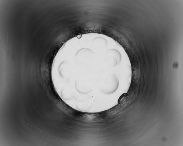 X0000103410662200810241210