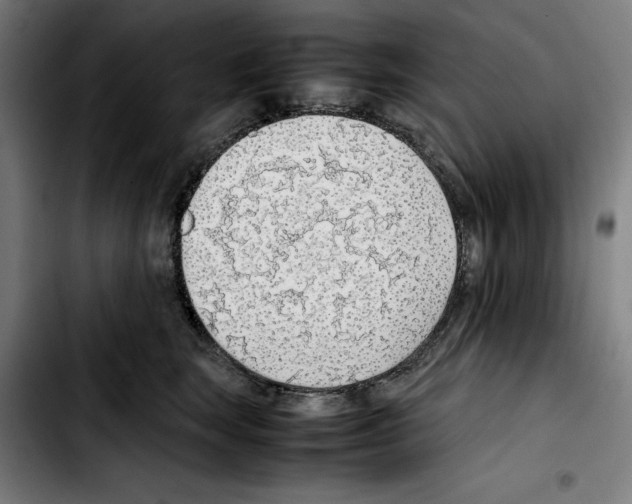 X0000103410663200810241210