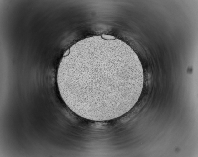 X0000103410664200810241210