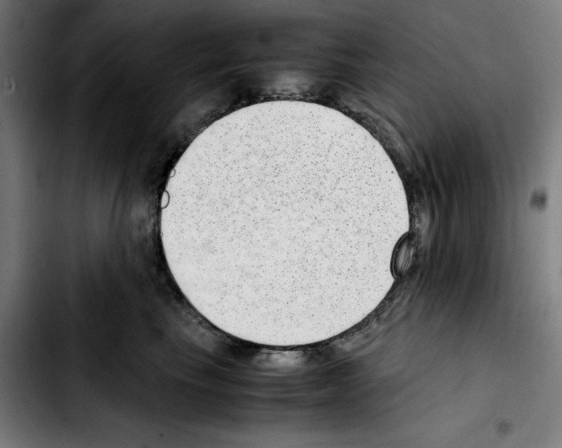 X0000103410665200810241210