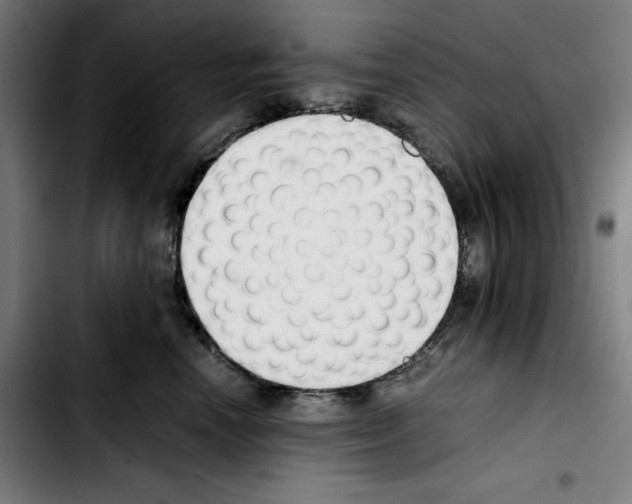 X0000103410666200810241210