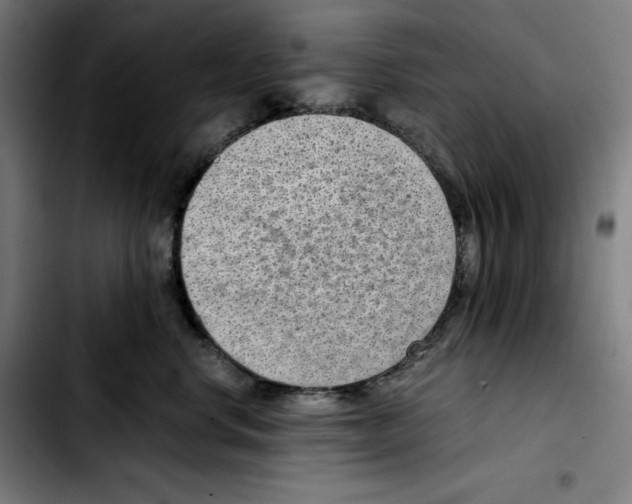 X0000103410668200810241210