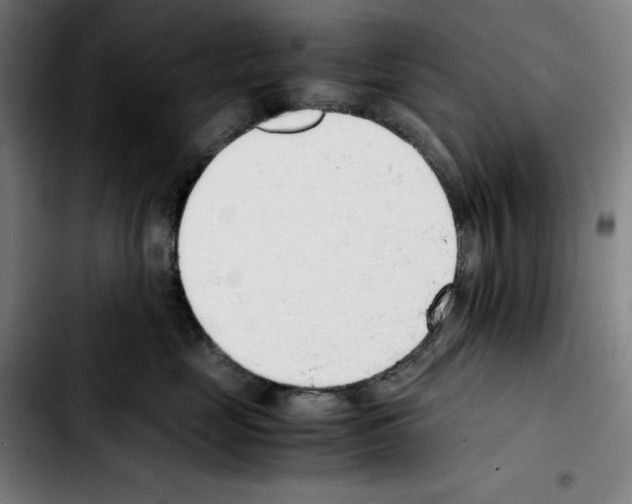 X0000103410669200810241210