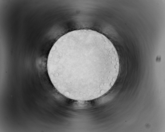 X0000103410672200810241210