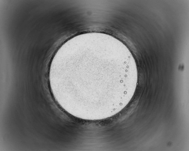 X0000103410673200810241209