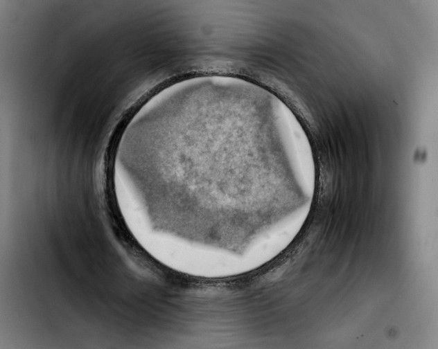 X0000103410674200810241209