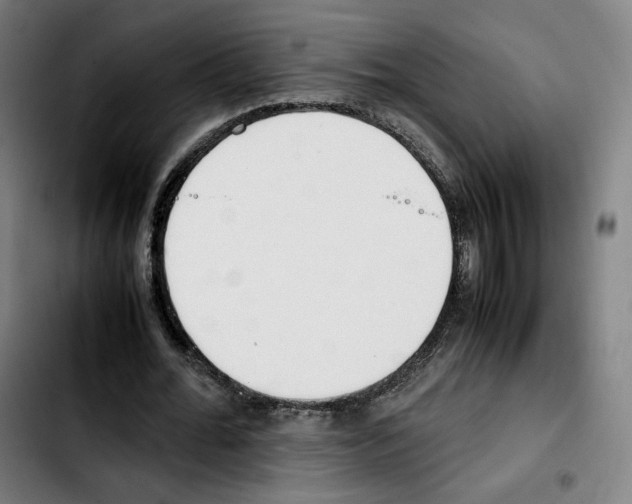 X0000103410676200810241209